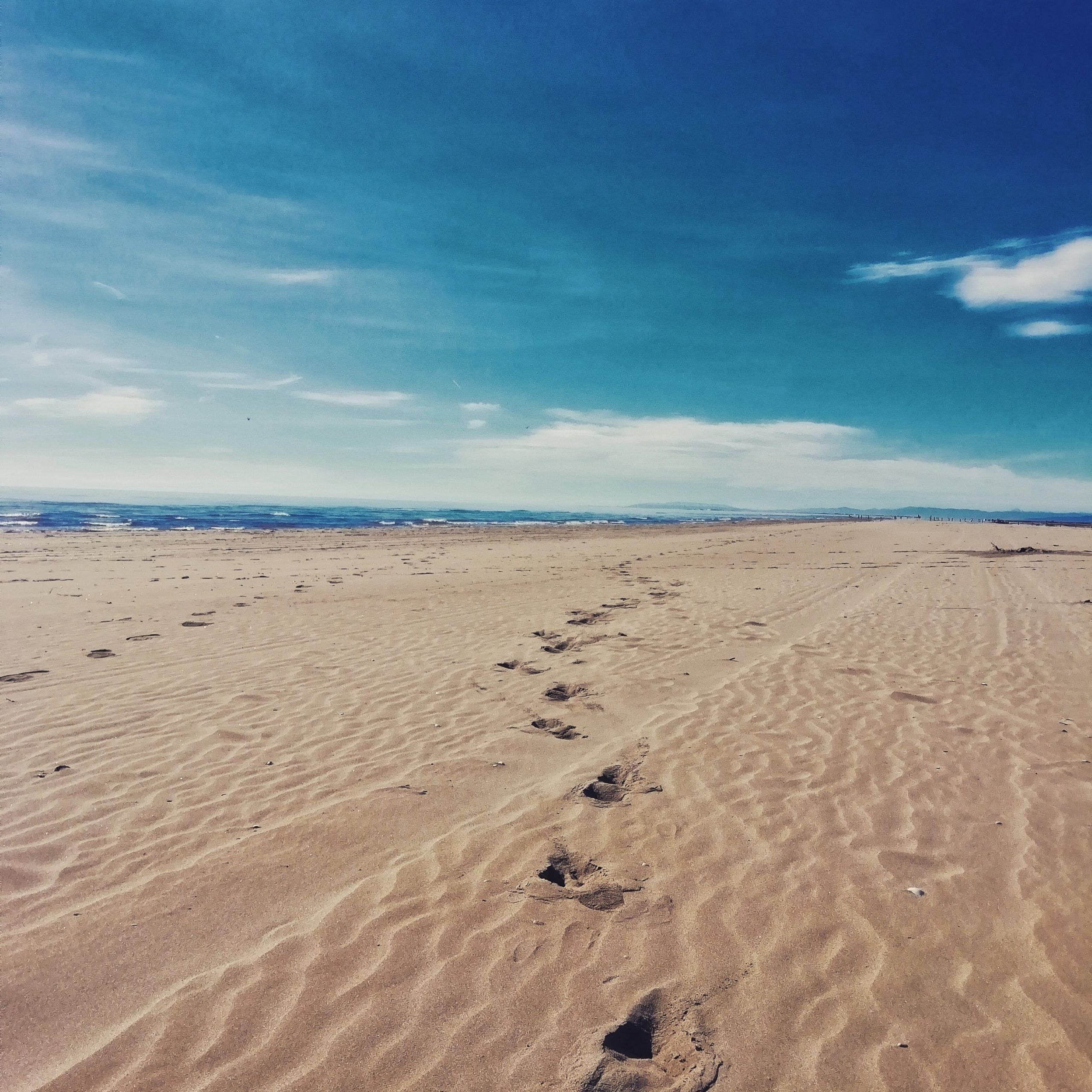 Platges verges d’arena fina i poca profunitat als Eucaliptus. Casi 6 quilòmetres de llarg i 200 metres d’ample. La perfecta combinació entre arrosars i eucaliptus
